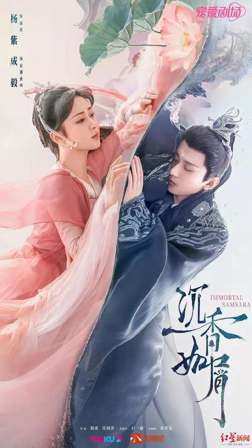 杨紫 单飞 欢瑞世纪为何留不住 顶流