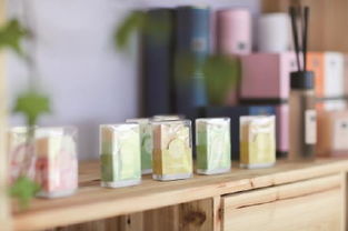 上海薰衣草节圆满落幕，两款官方周边正式发售，影视剧推动文旅新融合